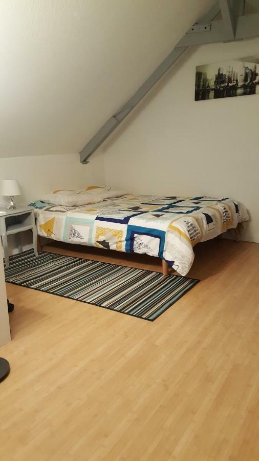 Joli Duplex Gare - Centre Ville Rennes Bagian luar foto